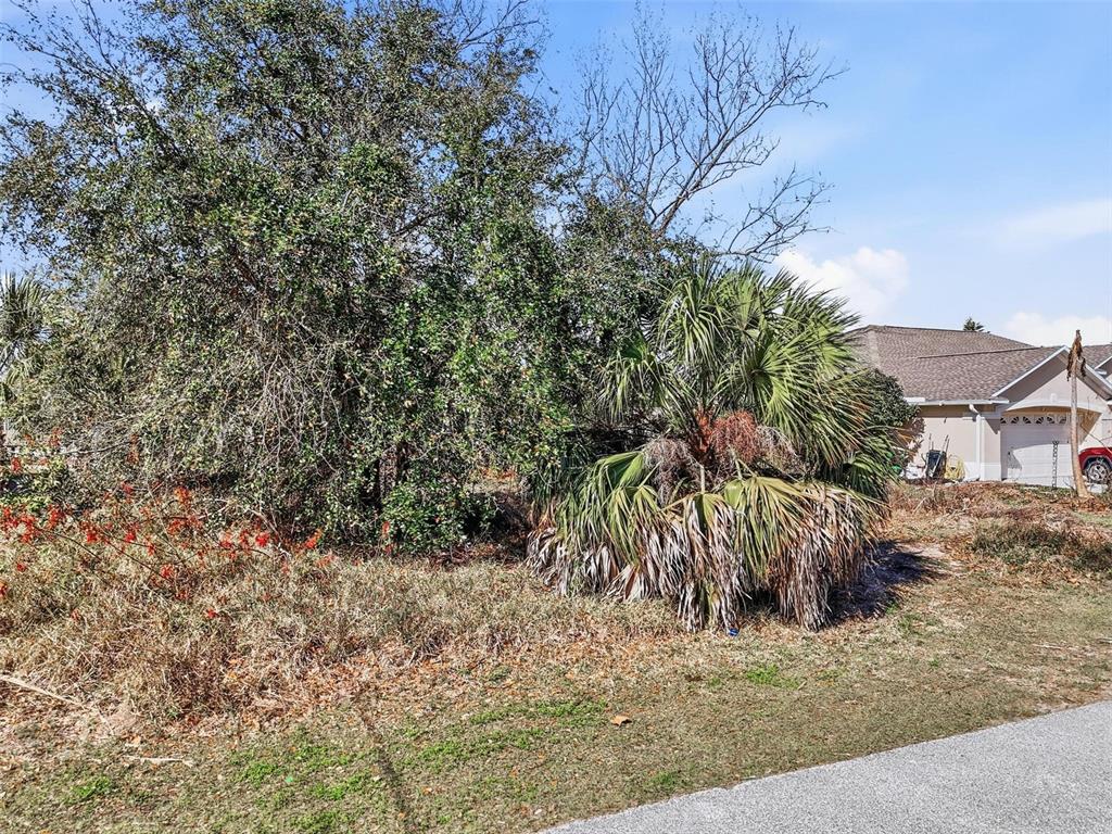 A vacant lot features a large tree, a palm tree, and brush next to a house — 35 CORAL REEF COURT N, PALM COAST, FL
