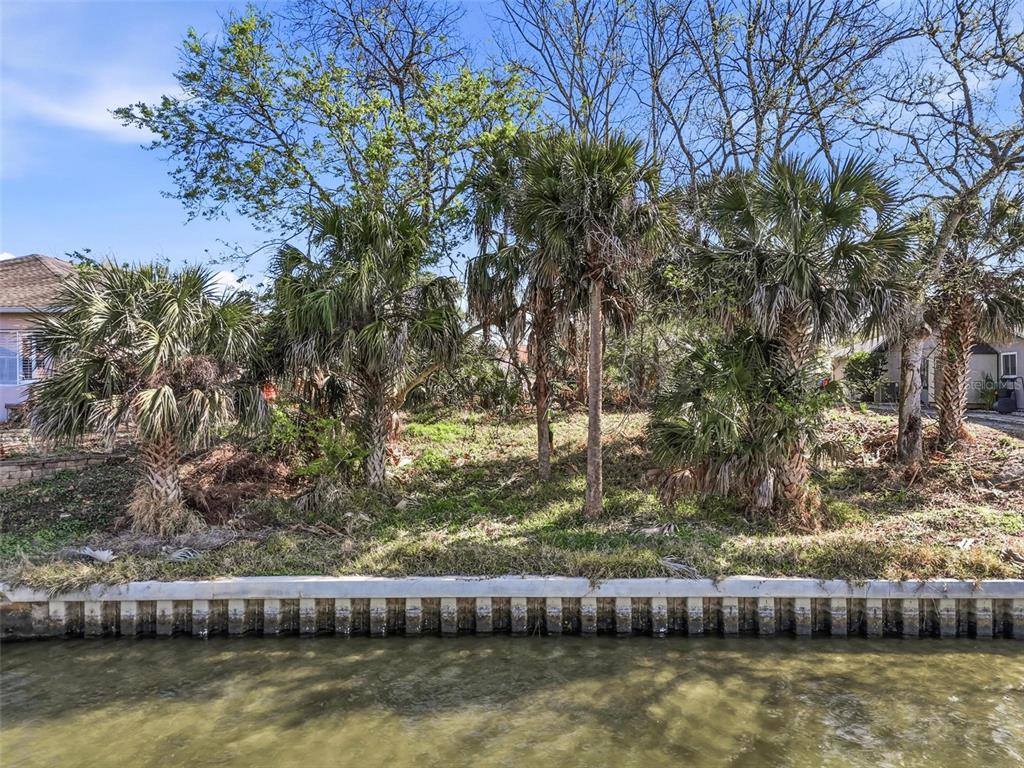 A waterfront lot features a concrete seawall, several palm trees, and overgrown vegetation — 35 CORAL REEF COURT N, PALM COAST, FL