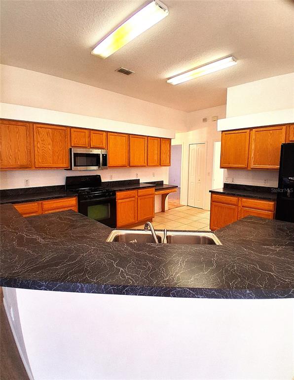 A kitchen features wood cabinets, dark countertops, a double sink, and two ceiling light fixtures — 771 MOUNTAIN ASH, DELTONA, FL