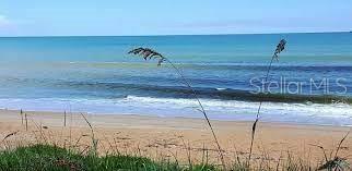A view of a sandy beach and the ocean from behind tall dune grasses — 6169 N OCEAN SHORE BOULEVARD, PALM COAST, FL