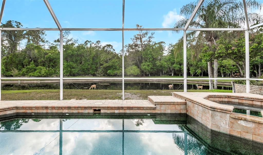 A swimming pool and spa are enclosed by a screen overlooking a pond and woods — 4152 GRANDCHAMP CIRCLE, PALM HARBOR, FL