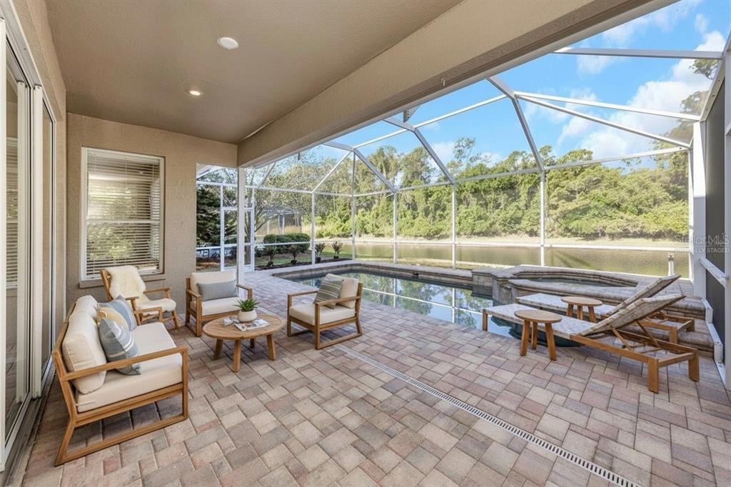 A covered patio with a pool, spa, and screened enclosure overlooking a wooded pond — 4152 GRANDCHAMP CIRCLE, PALM HARBOR, FL