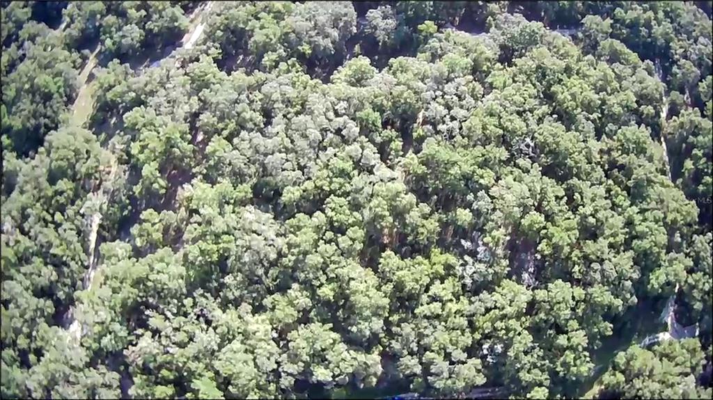 An aerial view shows a dense, wooded lot with mature trees and surrounding residential streets — 1105 CONSTITUTION WAY, INVERNESS, FL
