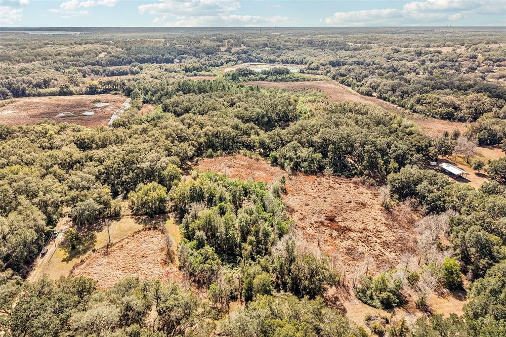 An aerial view shows a large, wooded property with patches of cleared, dry grass — HARRIS LAKE ROAD, LADY LAKE, FL