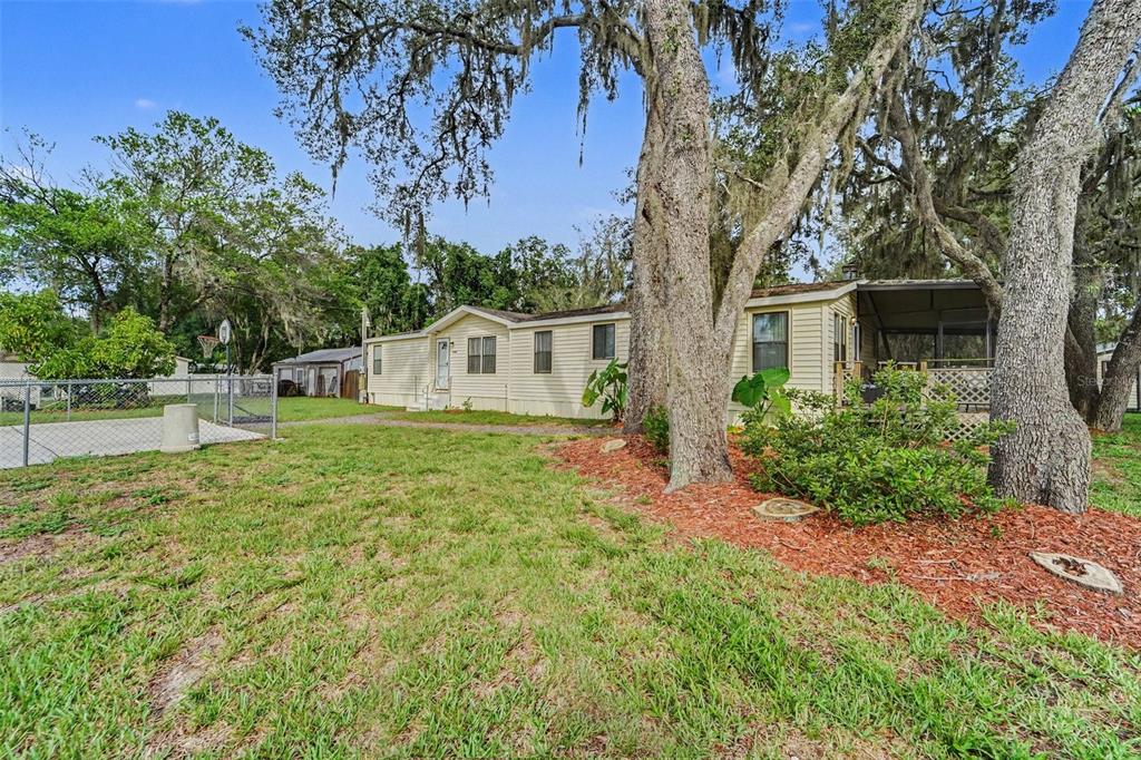 A light-colored mobile home sits on a grassy lot shaded by large, moss-covered oak trees — 12464 LANTANA AVENUE, NEW PORT RICHEY, FL
