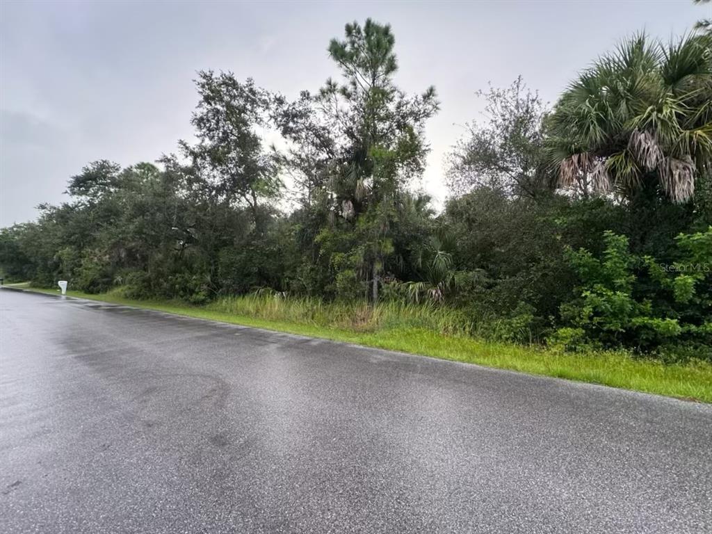 A paved road runs alongside a densely wooded, undeveloped lot with tall trees and shrubs — 13342 DRUMMOND AVENUE, PORT CHARLOTTE, FL