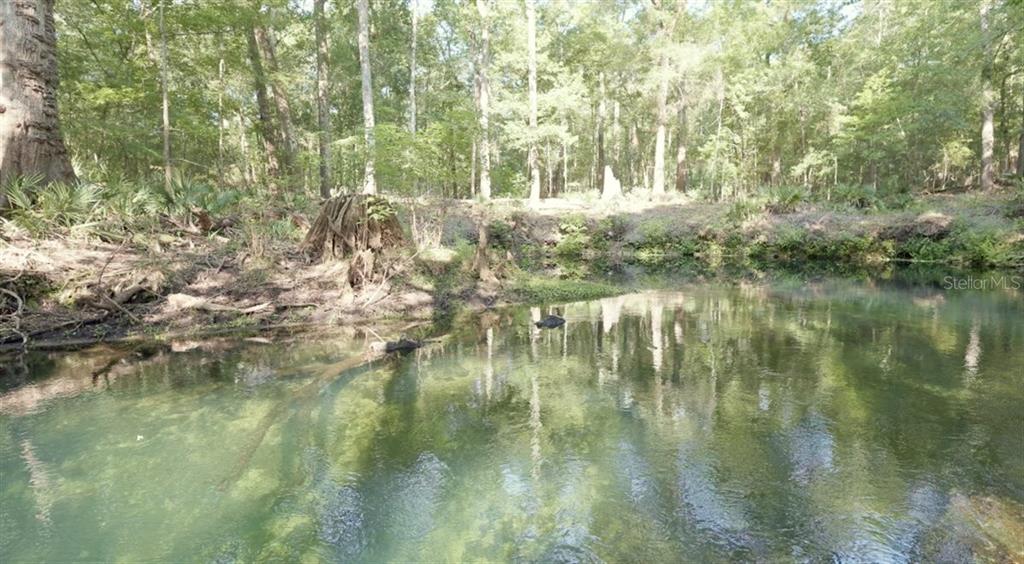 A clear, shallow stream flows through a wooded area with a tree stump on the bank — 5278 SW COUNTY ROAD 138, FORT WHITE, FL
