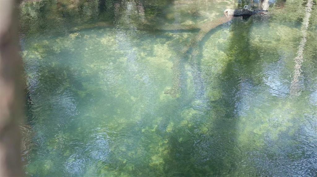 A clear, shallow body of water with a submerged log visible beneath the surface — 5278 SW COUNTY ROAD 138, FORT WHITE, FL