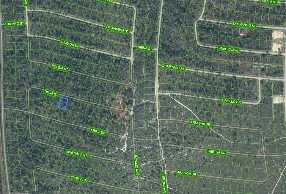 This is an aerial map showing a highlighted vacant lot within a residential subdivision — 8705 PAVIA STREET, SEBRING, FL