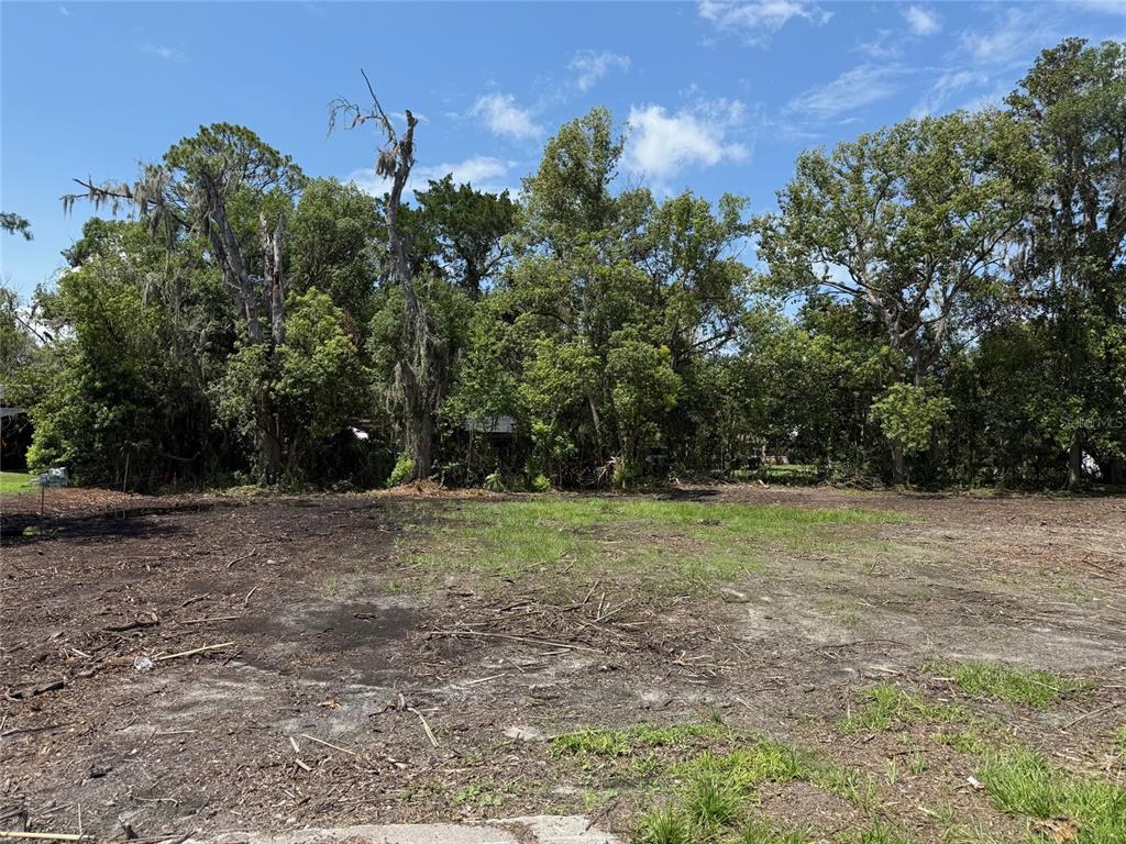 A cleared, flat residential lot is bordered by a dense line of mature trees — 661 W MADISON STREET, STARKE, FL