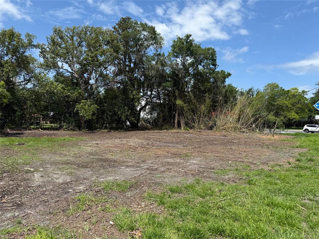 A cleared, vacant lot with grass and trees under a blue sky — 661 W MADISON STREET, STARKE, FL