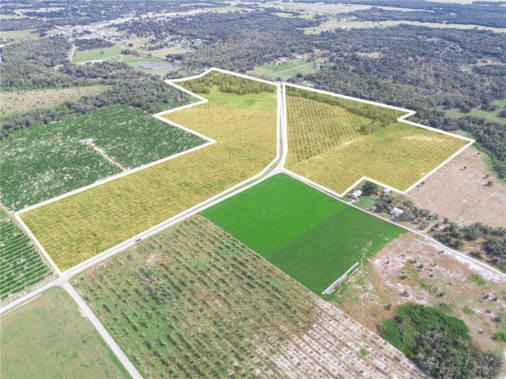 2485 S FLORIDA AVENUE, WAUCHULA, FL — photo 5 of 18
