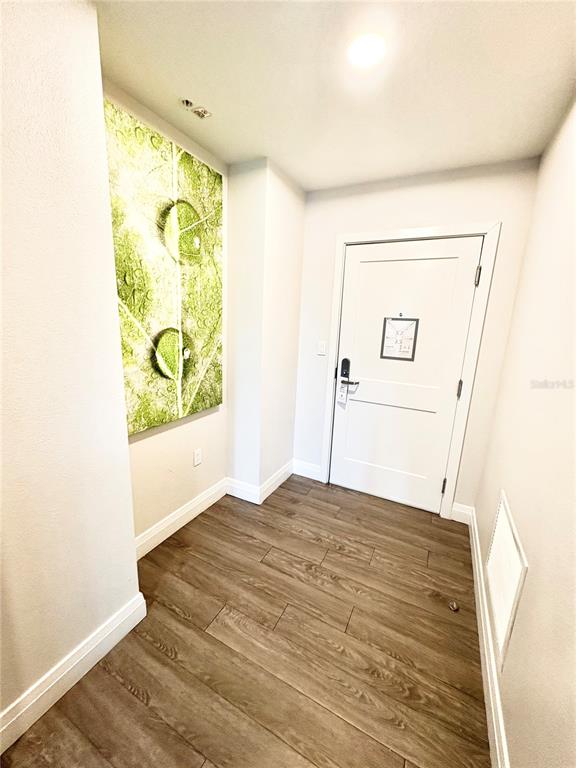 An entryway features wood-look tile flooring, a white door, and a large green leaf print — 14501 GROVE RESORT AVENUE UNIT 2615, WINTER GARDEN, FL