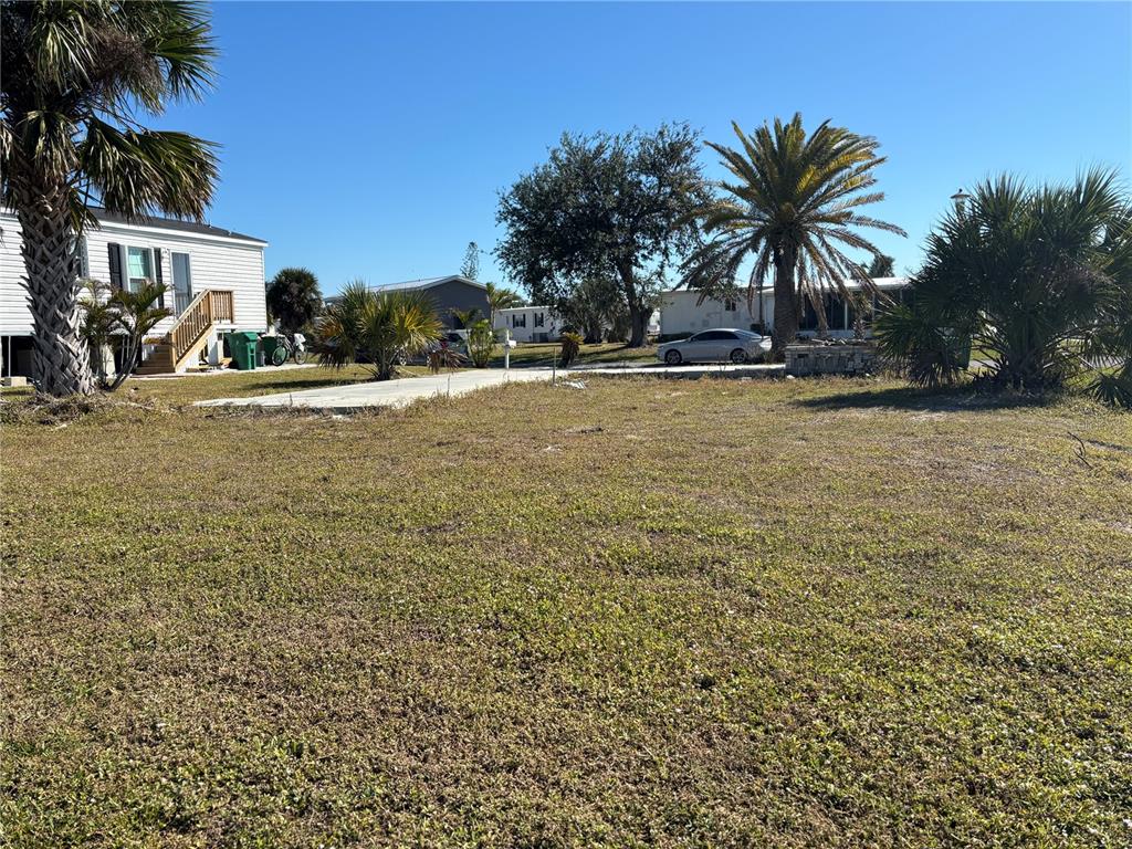 A vacant grassy lot features a concrete driveway and several palm trees under a clear sky — 7381 PETULA AVE, PORT CHARLOTTE, FL