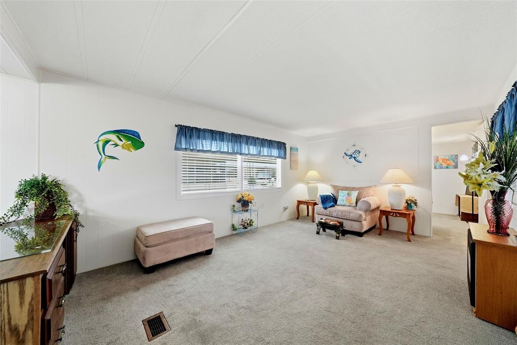 A living room features beige carpet, white walls, a window with blue valances, and furniture — 12116 HORSESHOE LANE, HUDSON, FL