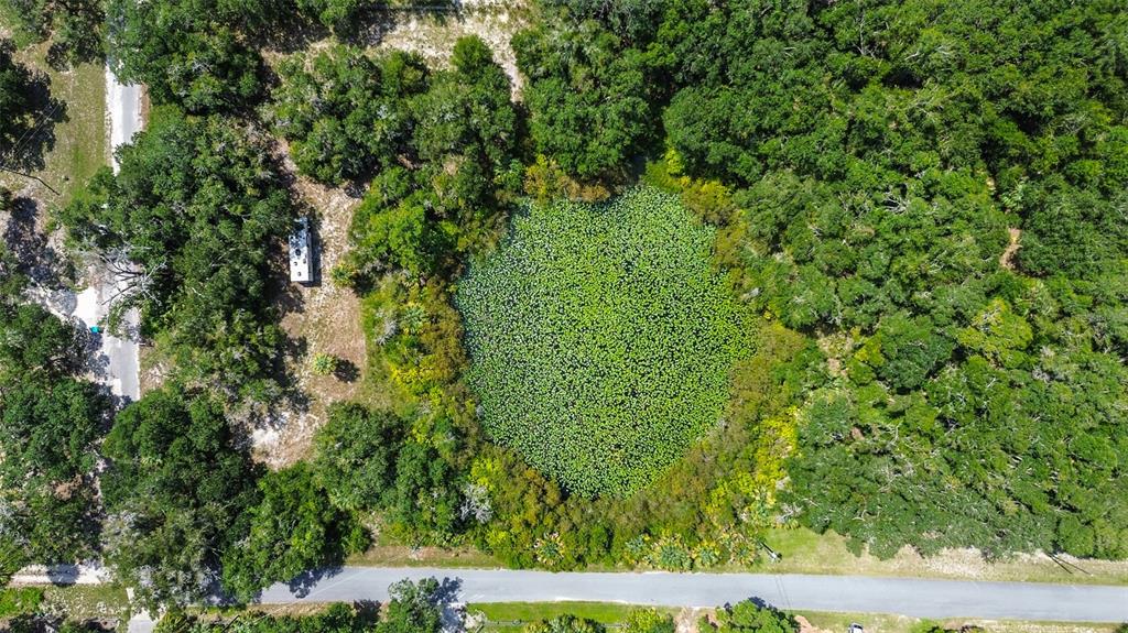 An aerial view shows a circular pond covered in lily pads surrounded by dense trees — 8601 W BASS LAKE ROAD UNIT 12, CRYSTAL RIVER, FL
