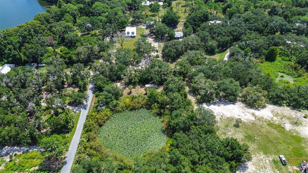 An aerial view shows a wooded property with a circular pond and several small houses — 8601 W BASS LAKE ROAD UNIT 12, CRYSTAL RIVER, FL