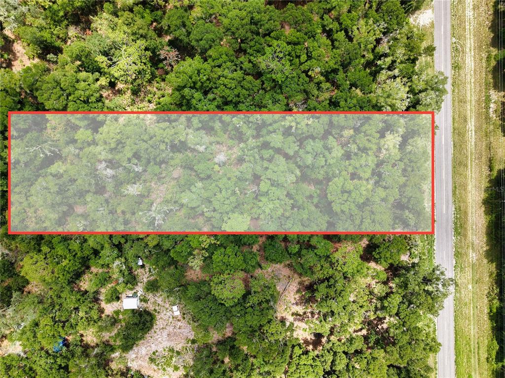 An aerial view shows a rectangular plot of wooded land adjacent to a paved road — 000 NE 410TH AVENUE, OLD TOWN, FL