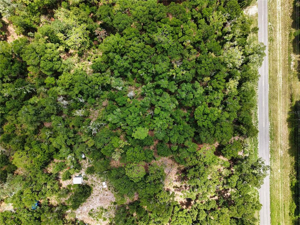 An aerial view shows a wooded lot with a small structure next to a road — 000 NE 410TH AVENUE, OLD TOWN, FL