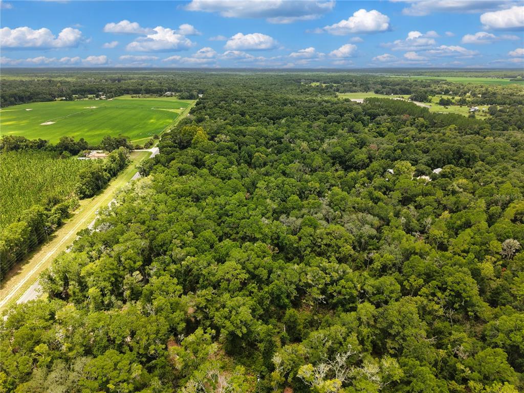 An aerial view shows a dense forest bordering a large green field and a road — 000 NE 410TH AVENUE, OLD TOWN, FL