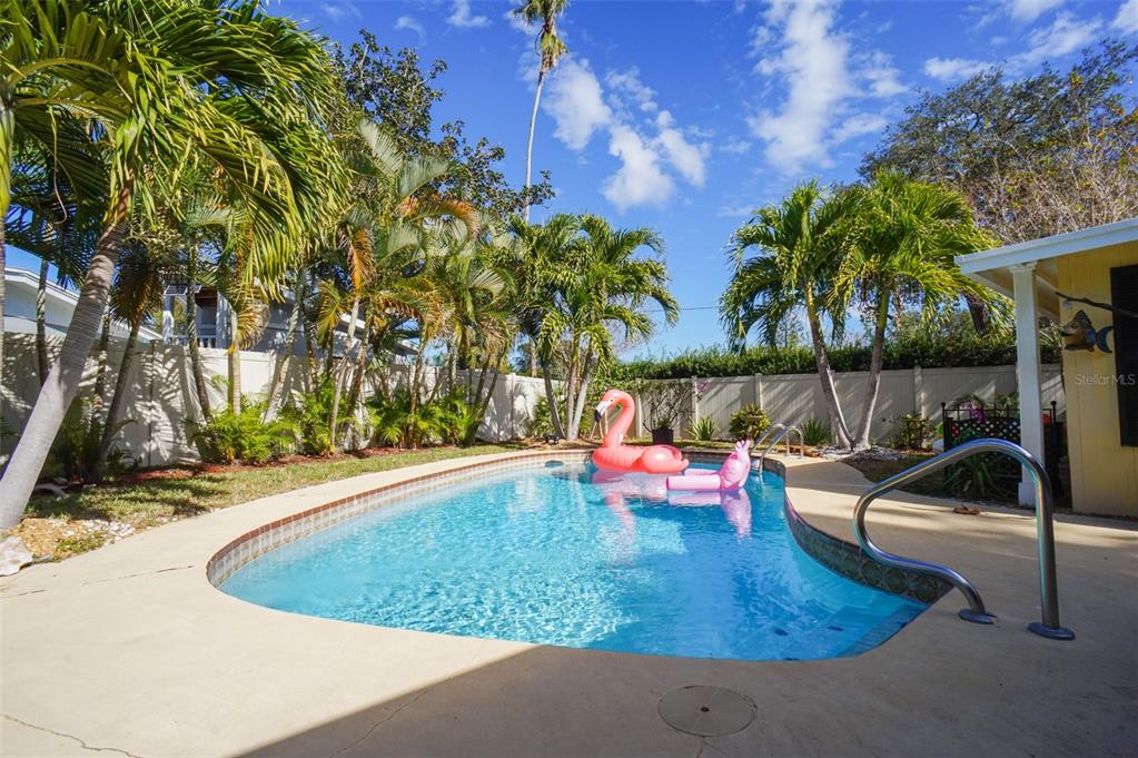 A swimming pool with two flamingo floats sits in a backyard surrounded by palm trees — 328 CARL AVENUE, BELLEAIR, FL