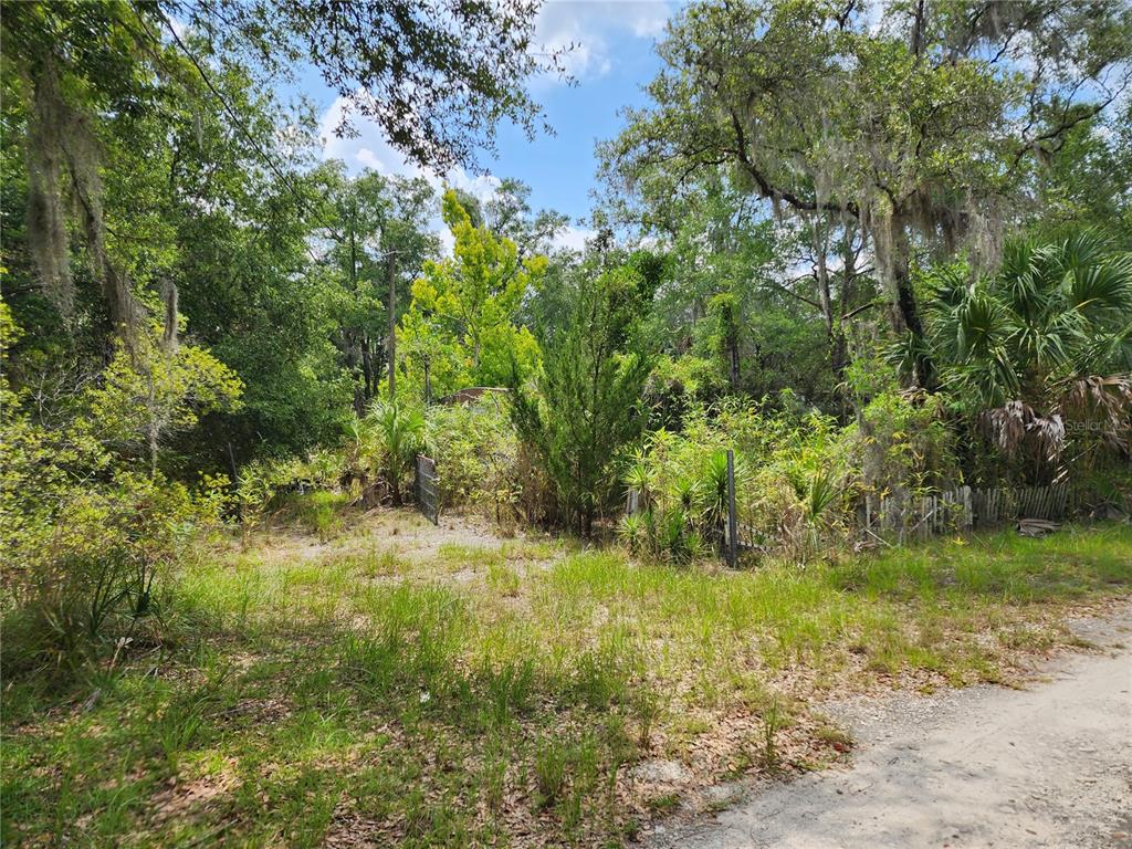 A view of a wooded, overgrown residential lot with a dirt road in the foreground — 11335 N GINNY LANE POINT, INGLIS, FL