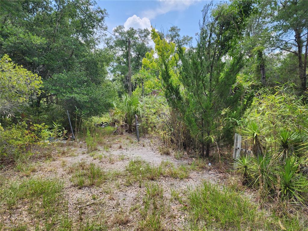 An overgrown, wooded lot features a sandy path leading into dense trees and vegetation — 11335 N GINNY LANE POINT, INGLIS, FL