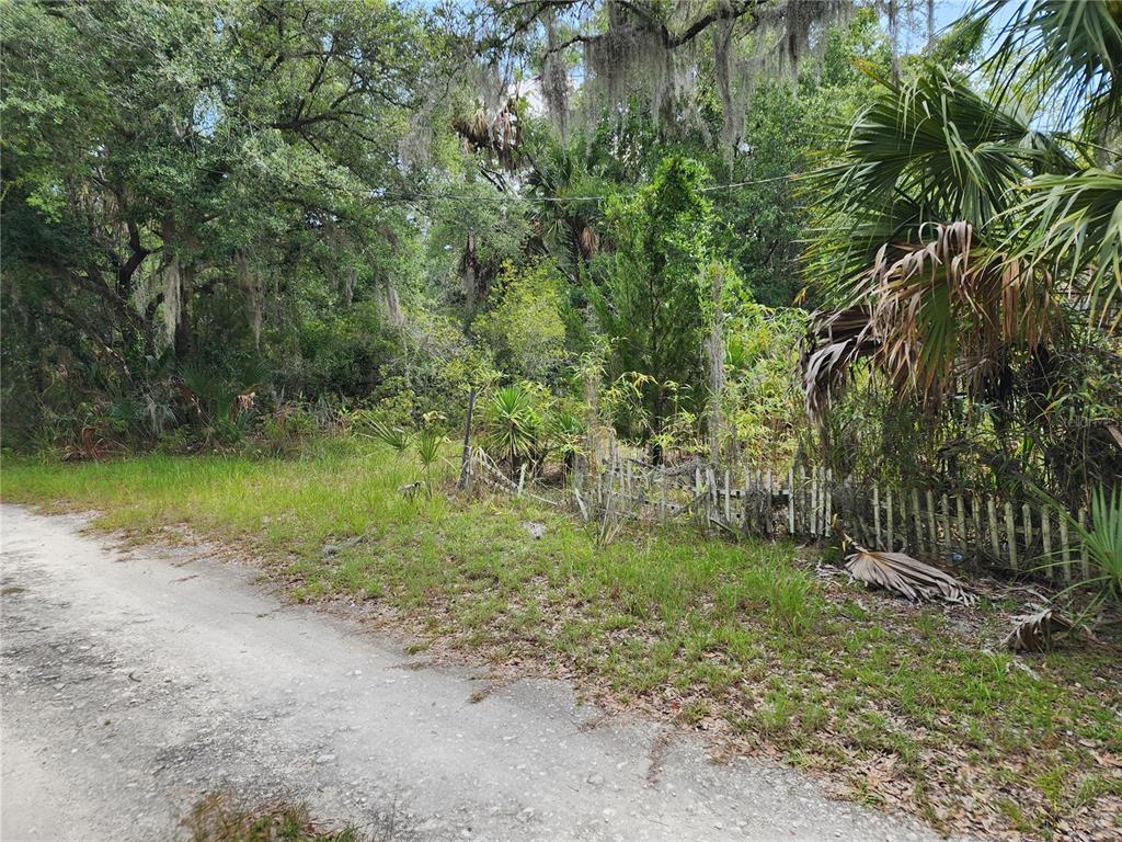 A dirt road runs alongside a wooded lot with a weathered picket fence — 11335 N GINNY LANE POINT, INGLIS, FL