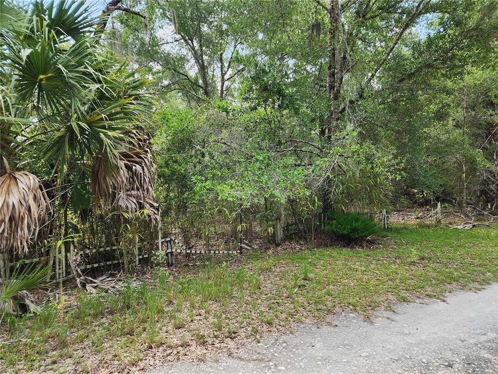 A gravel road borders a wooded lot with a palm tree and a wire fence — 11335 N GINNY LANE POINT, INGLIS, FL