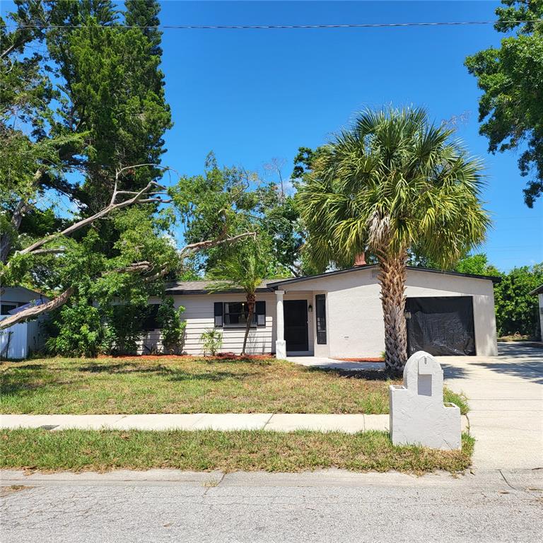 A single-story house with a palm tree, a concrete driveway, and a white mailbox — 5107 CRESTHILL DRIVE, TAMPA, FL