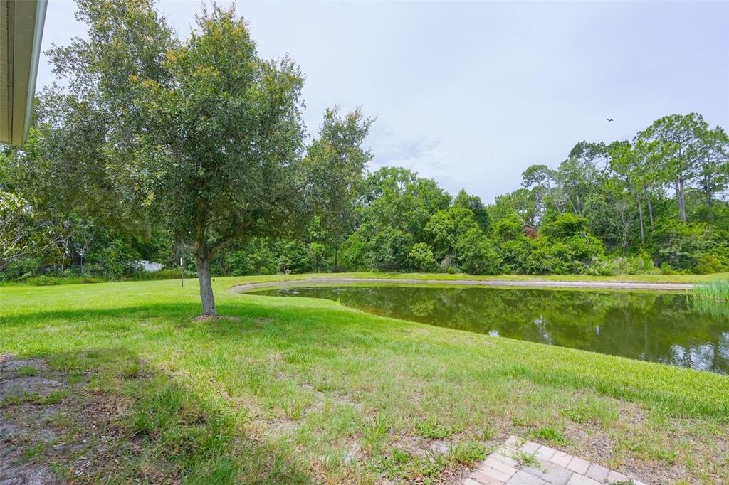 A grassy backyard features a large tree, a small pond, and a dense wooded area — 6019 EVANSBROOK DRIVE, ZEPHYRHILLS, FL