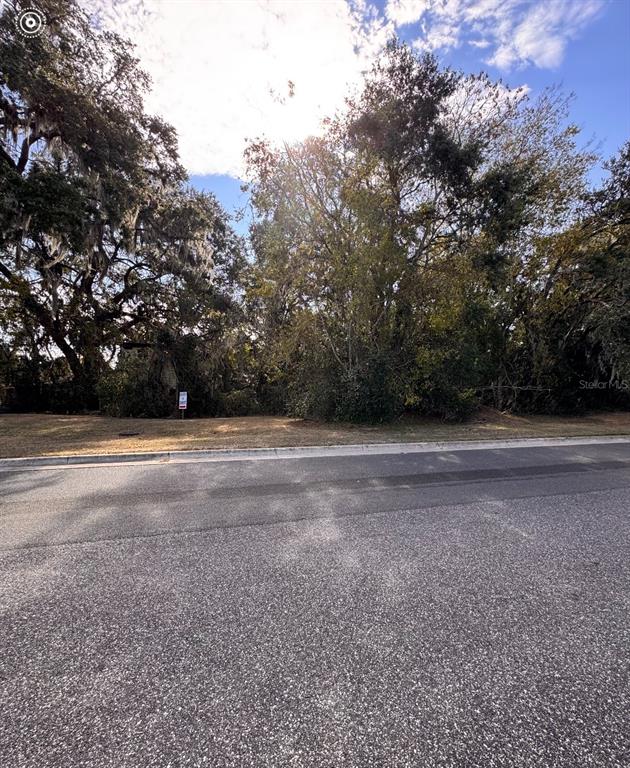 A paved road runs in front of a vacant, wooded lot with a real estate sign — OAK STREET, LADY LAKE, FL