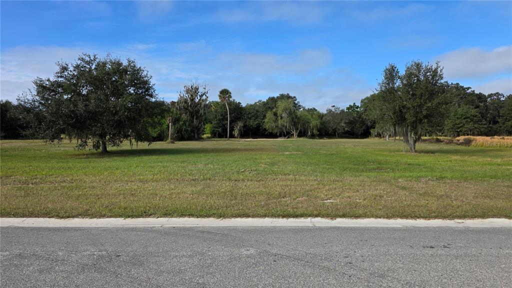 15311 FISHHAWK HEIGHTS RUN