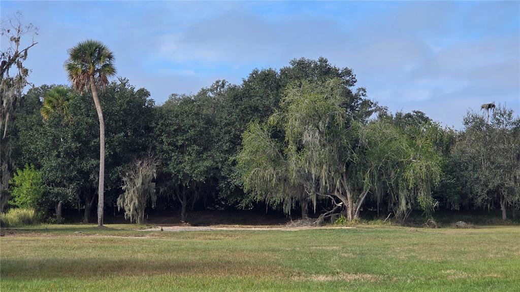 15311 FISHHAWK HEIGHTS RUN, LITHIA, FL — photo 2 of 6