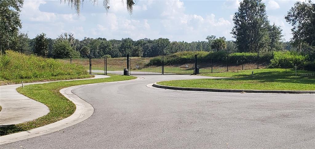 15311 FISHHAWK HEIGHTS RUN, LITHIA, FL — photo 3 of 6