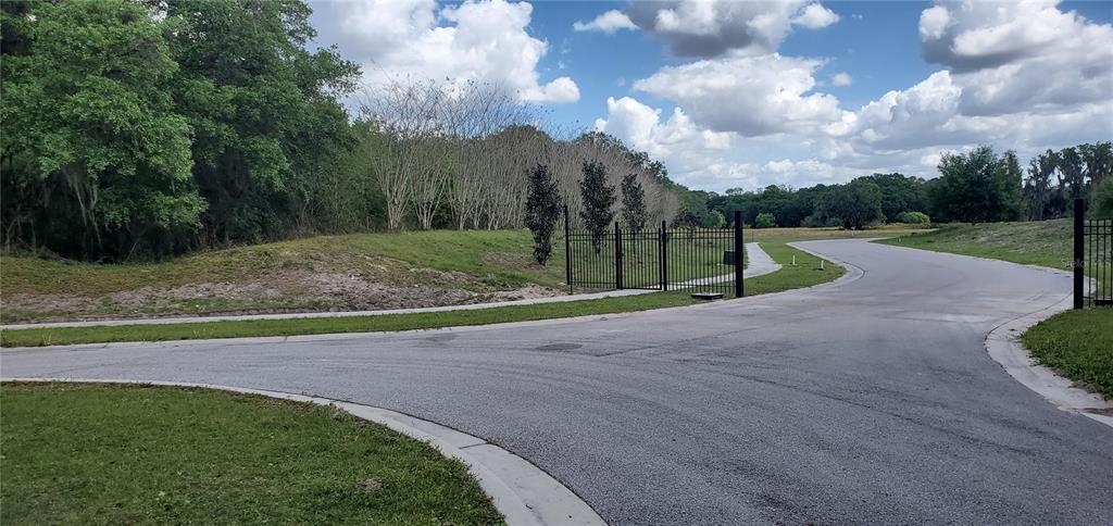 15311 FISHHAWK HEIGHTS RUN, LITHIA, FL — photo 4 of 6