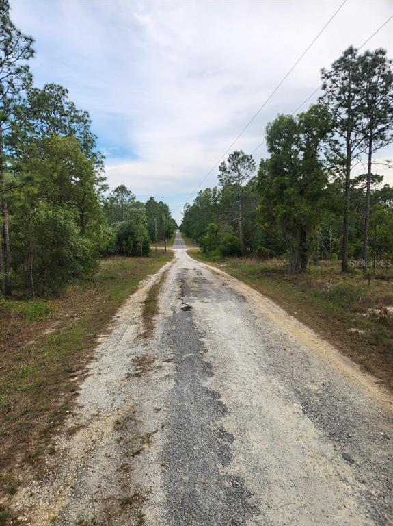 A gravel road stretches through a wooded area under a cloudy sky — 00 SE 130TH CT, DUNNELLON, FL