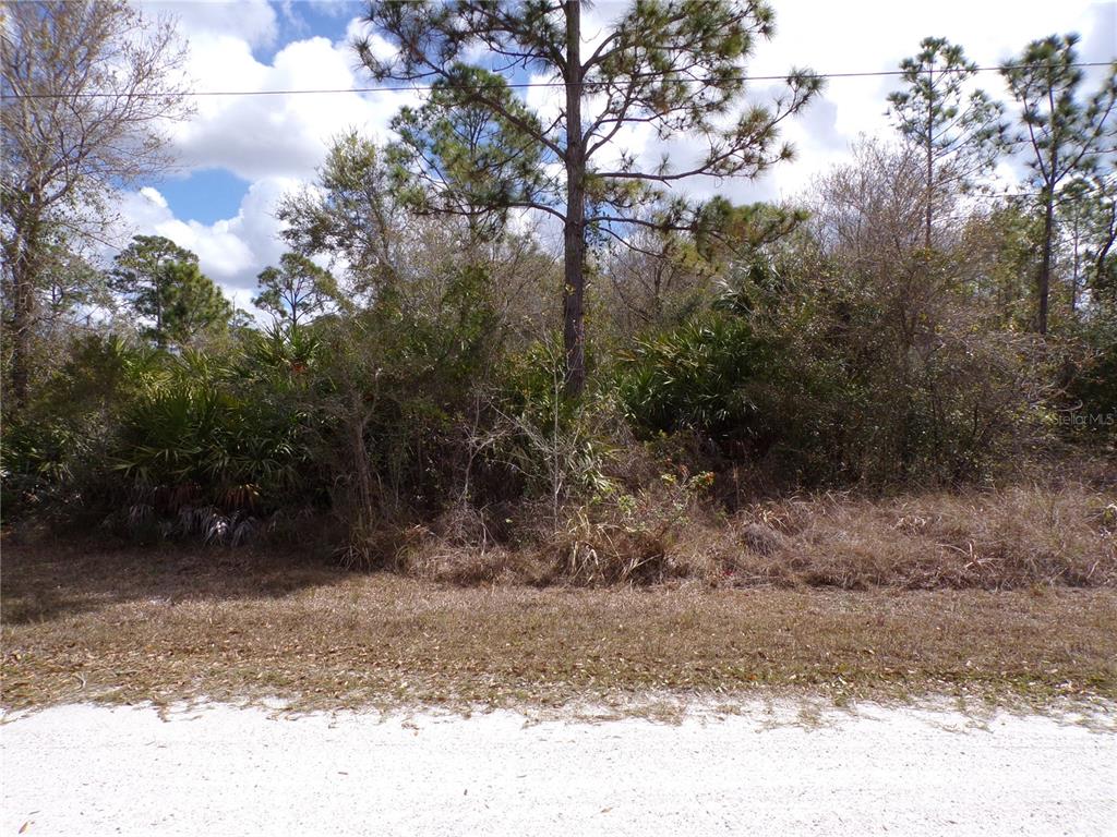 A view of a vacant, wooded lot with dense vegetation and a sandy foreground — 27269 HACIENDA DRIVE, PUNTA GORDA, FL