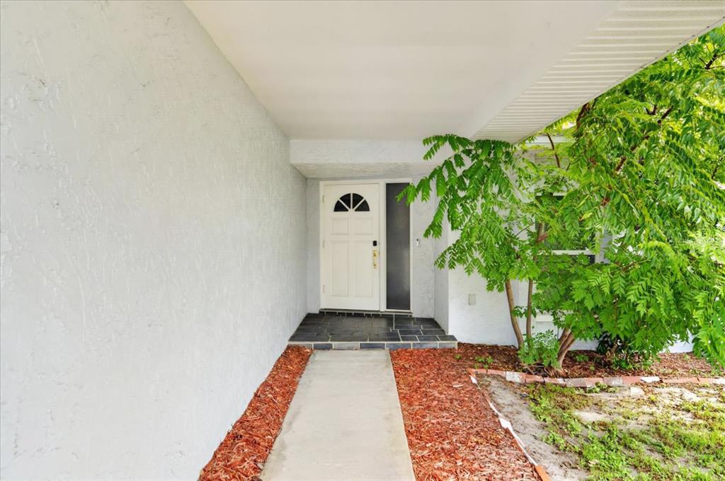 A concrete walkway leads to a white front door with a side window and overhang — 2964 MEADOW OAK DRIVE S, CLEARWATER, FL