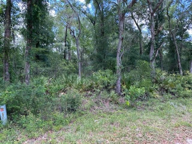 6471 OTTER DRIVE, WEBSTER, FL — photo 2 of 3