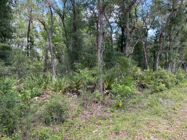 6471 OTTER DRIVE, WEBSTER, FL — photo 3 of 3