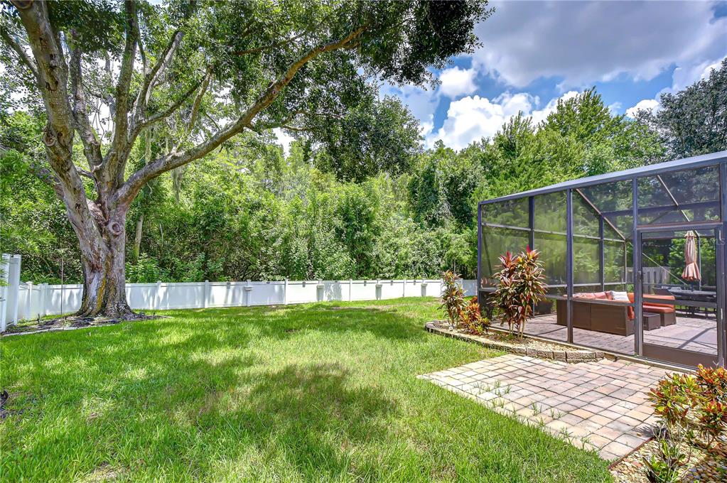 A grassy backyard features a large tree, a white fence, and a screened-in patio area — 19707 ELLENDALE DRIVE, LAND O LAKES, FL