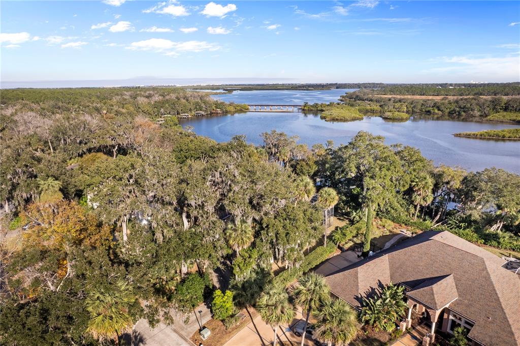 An aerial view shows a house with a brown roof overlooking a lake and forest — 6311 PALMAS BAY CIRCLE, PORT ORANGE, FL
