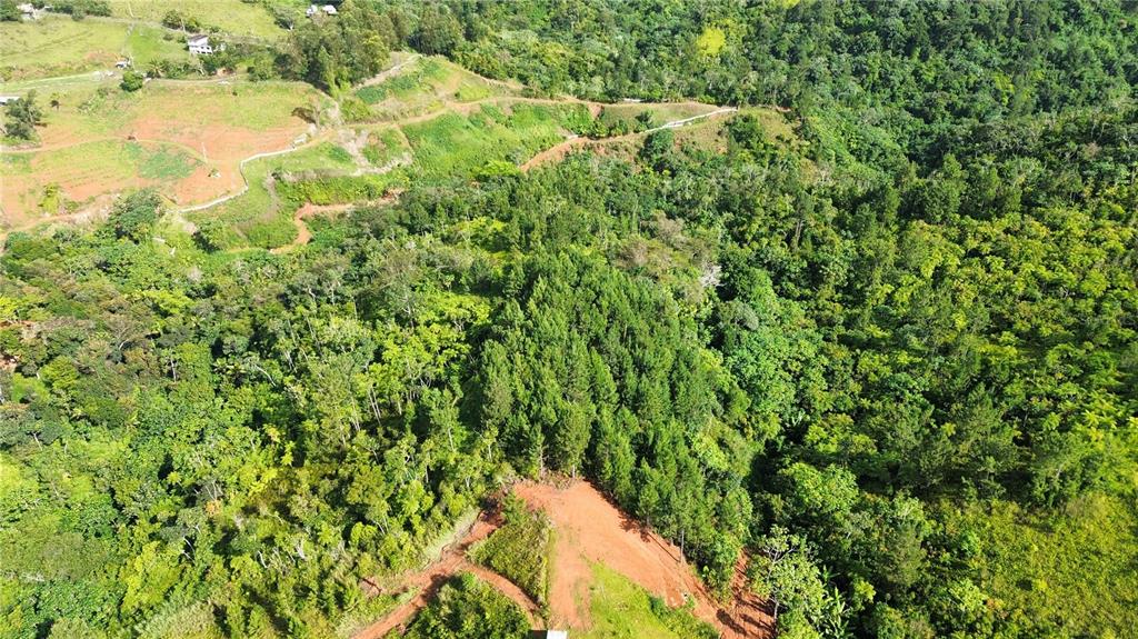 An aerial view shows a sloped, wooded landscape with patches of exposed red soil — Bo. Maná CARR. 802 KM 2.5, COROZAL, PR