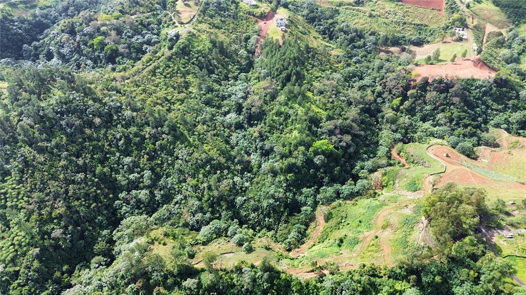 An aerial view shows a hilly, forested landscape with patches of cleared land and roads — Bo. Maná CARR. 802 KM 2.5, COROZAL, PR