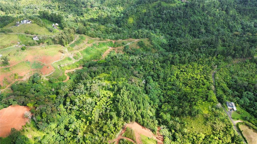 An aerial view shows a hilly landscape with patches of forest, cleared land, and houses — Bo. Maná CARR. 802 KM 2.5, COROZAL, PR