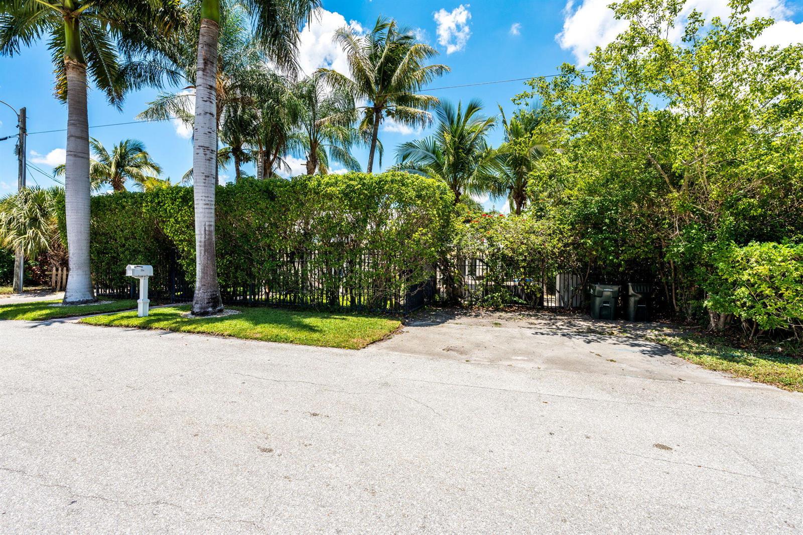 A paved driveway leads to a gated entrance obscured by a tall hedge and palm trees — 255 NE 12th Street, Delray Beach FL 33444, DELRAY BEACH, FL