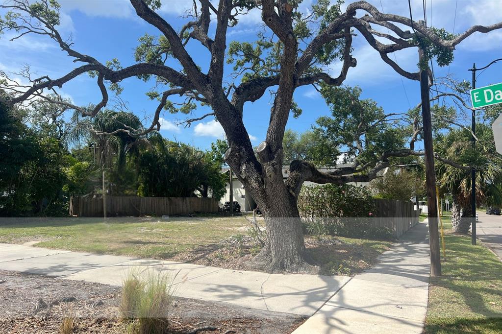 404 E DAVIS BOULEVARD, TAMPA, FL — photo 5 of 10