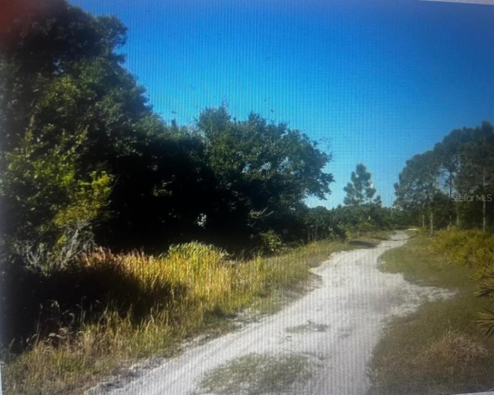 A dirt path winds through a wooded area under a clear blue sky — 733 N TARRY LANE, LORIDA, FL