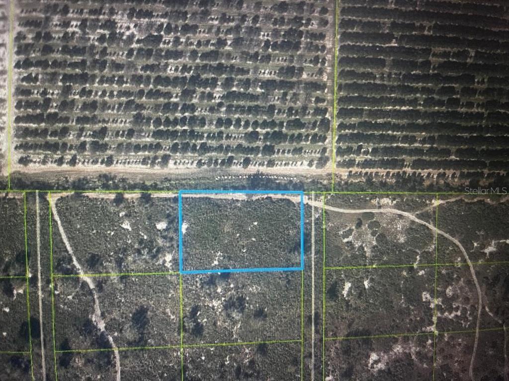 An aerial map view shows a rectangular plot of land outlined in blue — 733 N TARRY LANE, LORIDA, FL